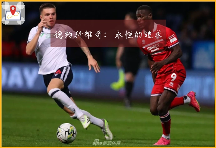 德约科维奇：永恒的追求